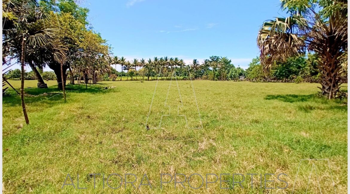 TERRENO MASAGUA, ESCUINTLA