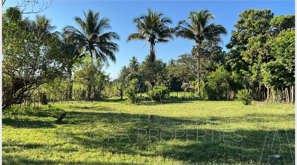 TERRENO MASAGUA, ESCUINTLA