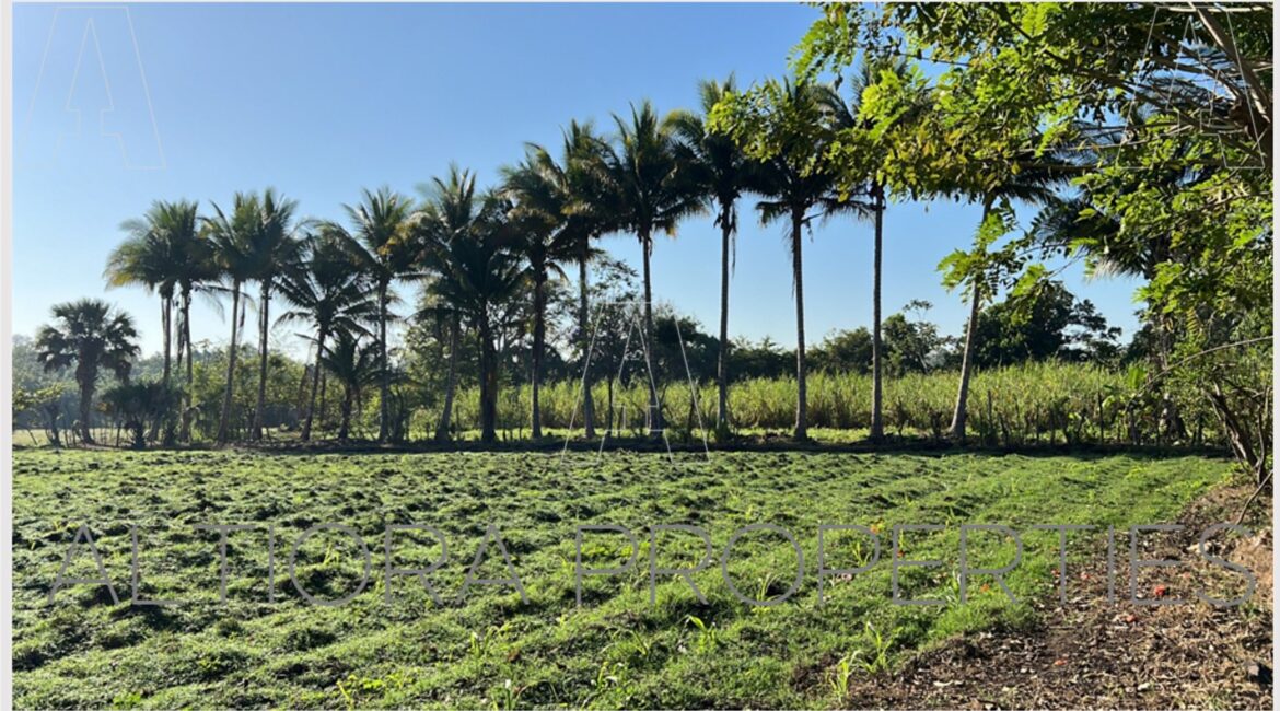 TERRENO MASAGUA, ESCUINTLA