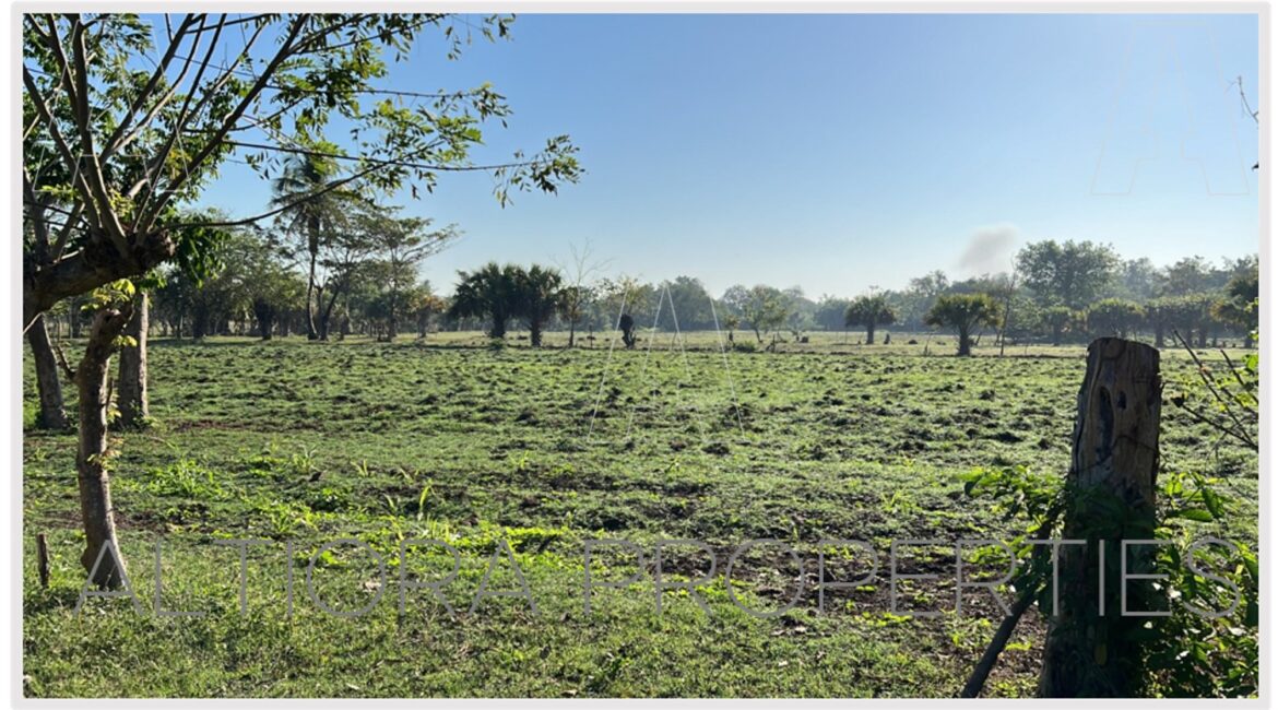 TERRENO MASAGUA, ESCUINTLA