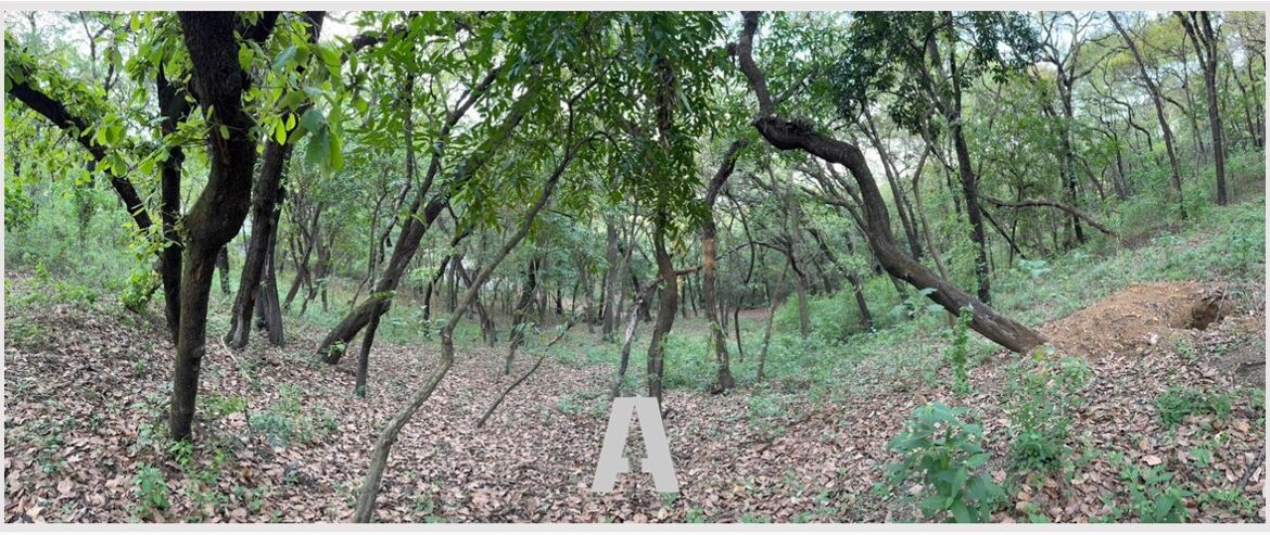 Terreno Labor de Castilla Mixco