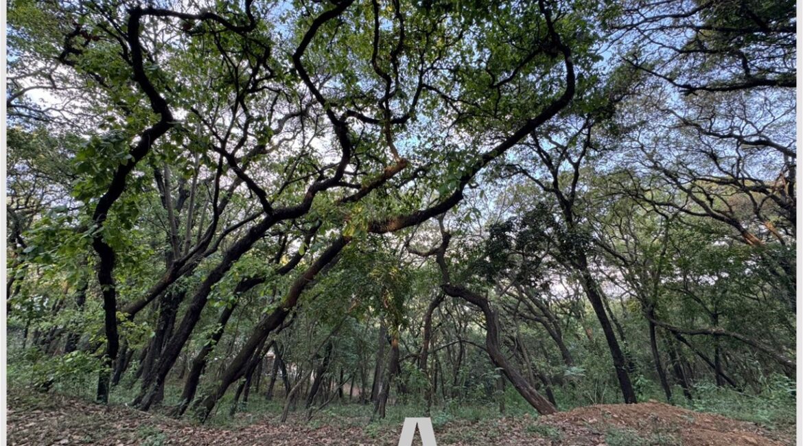 Terreno Labor de Castilla Mixco