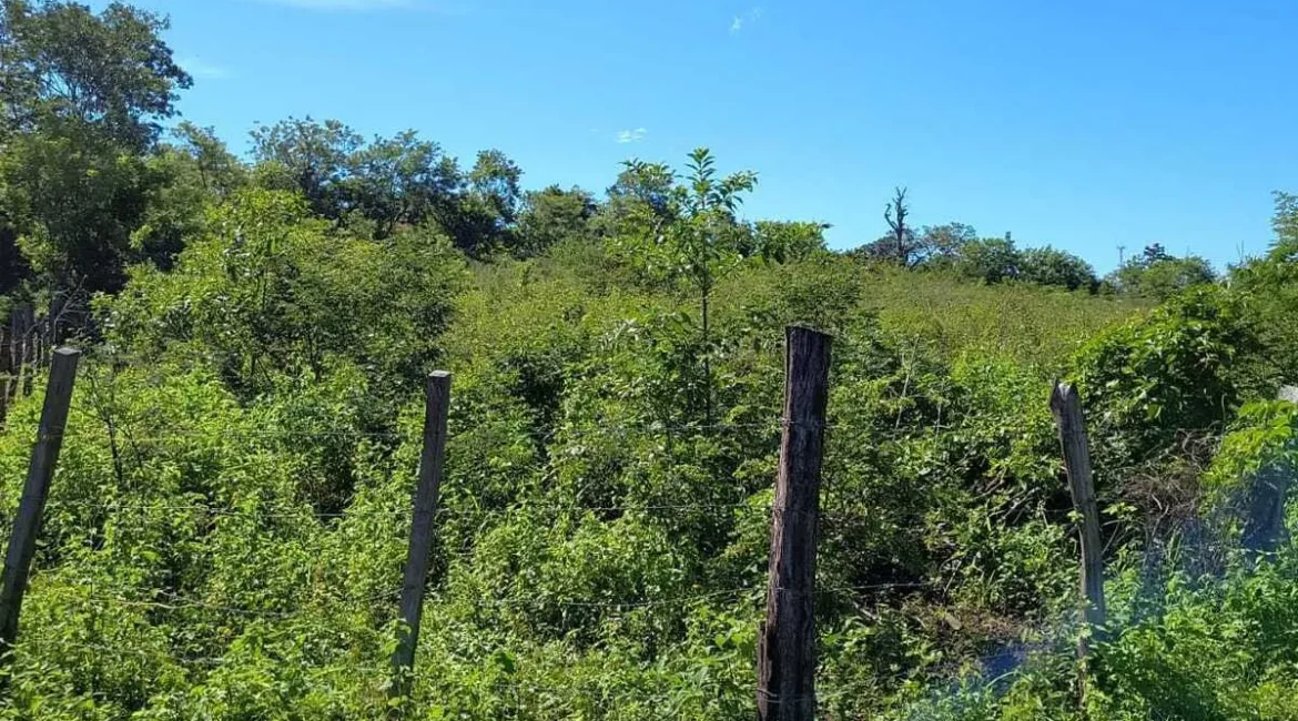 ORATORIO / Km.92 Carretera Salvador Ideal para hacer bodegas o lotificar