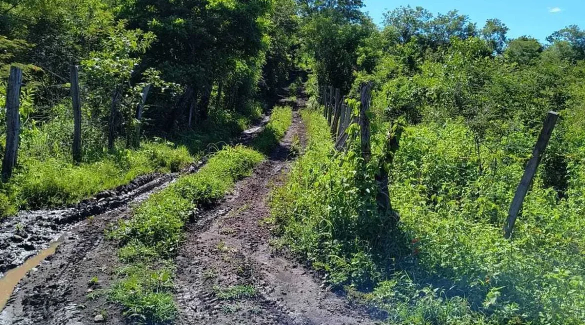 ORATORIO / Km.92 Carretera Salvador Ideal para hacer bodegas o lotificar