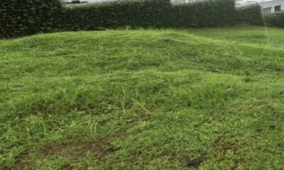 Terreno
