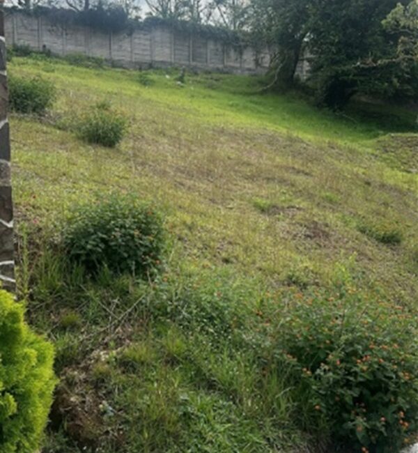 Terreno en venta en Carretera a El Salvador Km 16.5 en Terravista