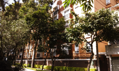 ENTREARBOLES_15